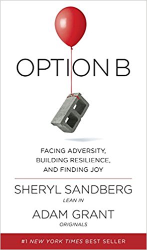 Option B Book Cover